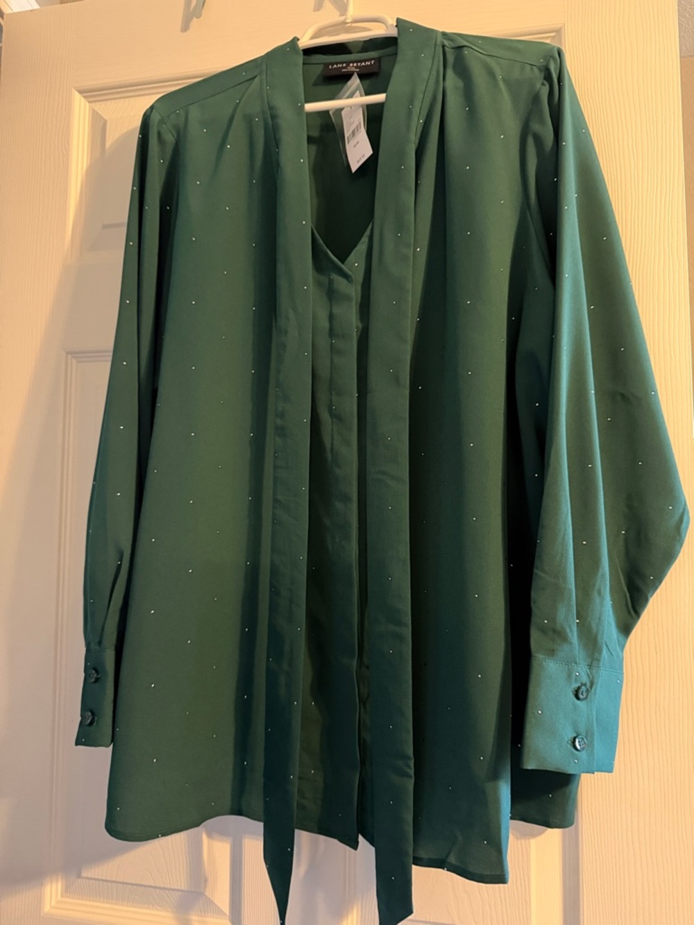 Lane Bryant Emerald Green Long-Sleeve Blouse with Neck Tie
